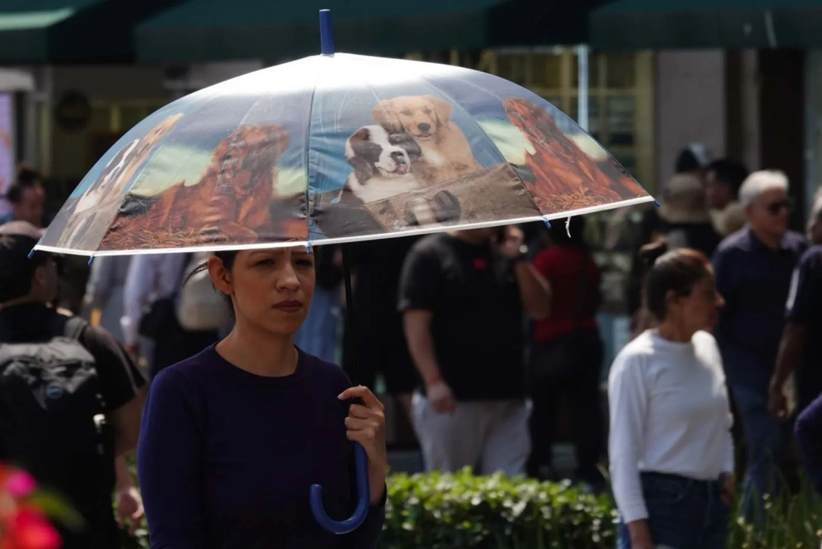 Chubascos, lluvias aisladas y fuertes continuarán este martes en 24 estados del país (Video)