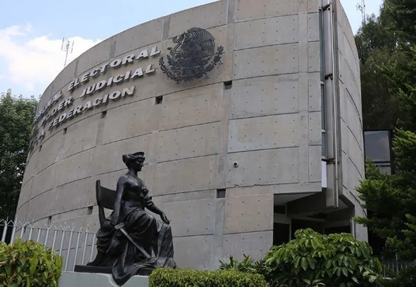 Detectan casos de nepotismo e influyentismo en 2023 que no fueron aclarados por el TEPJF