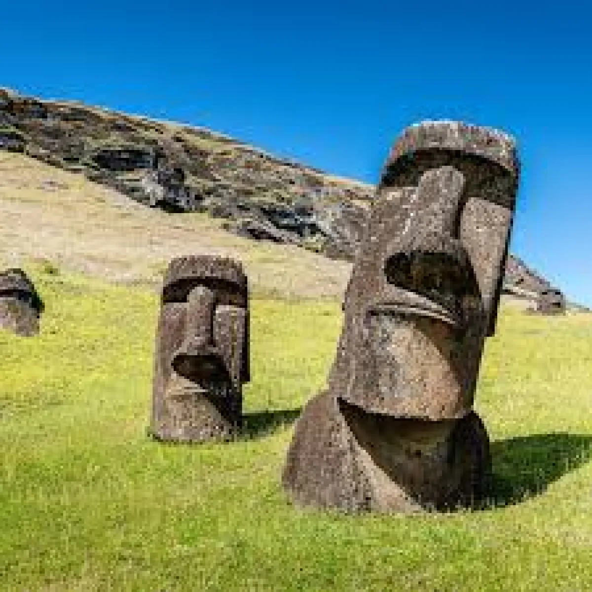 Descubren técnica ancestral para transportar los moai en Rapa Nui