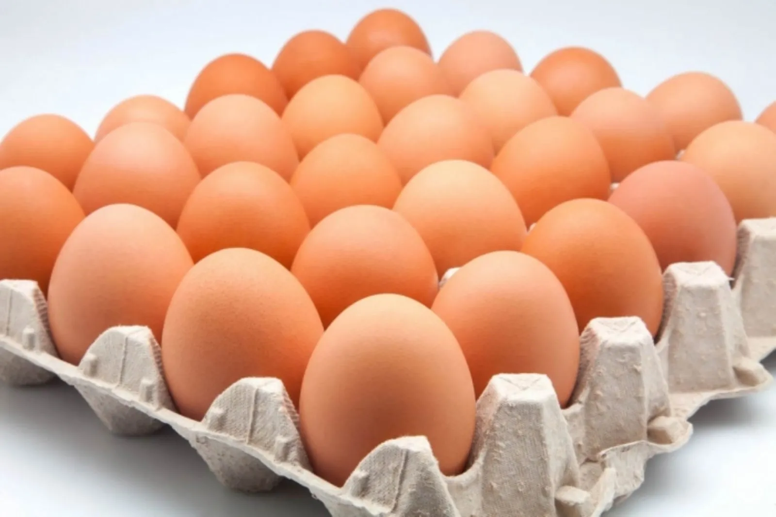 Retiran pepinos y huevos por posible contaminación con salmonela