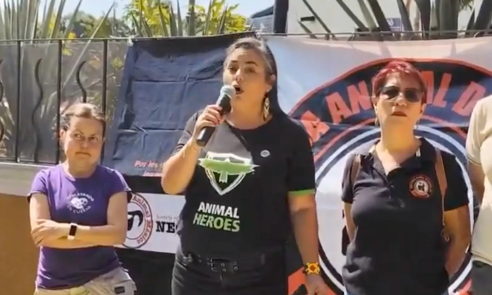Exigen justicia para “Miel”, perra atacada con machete y cuchillos en Morelos