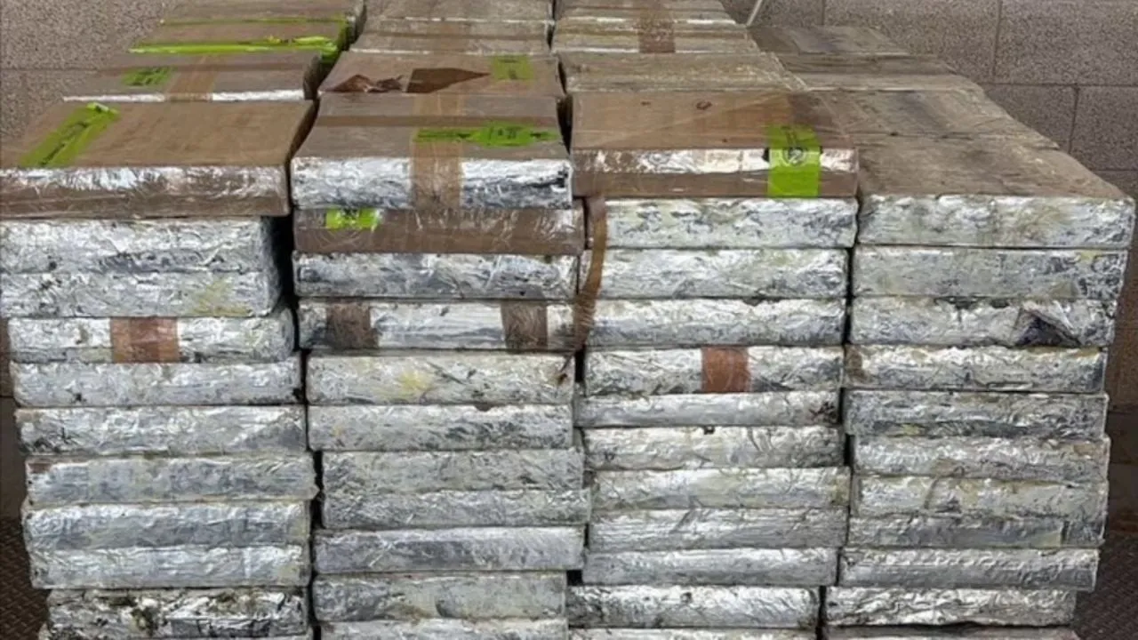 Decomisan carga de metanfetaminas escondida entre pepinos y chile morrón; valía 14 mdd