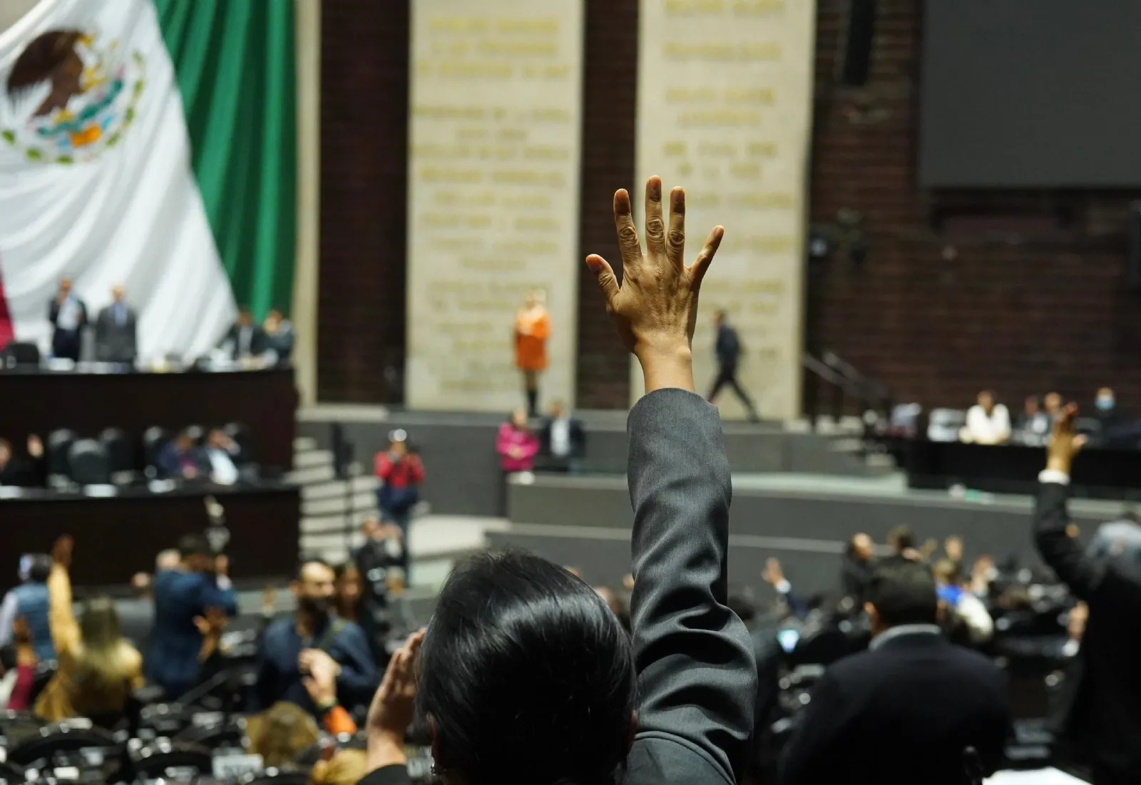 El medio ambiente se marchita en el presupuesto de la 4T