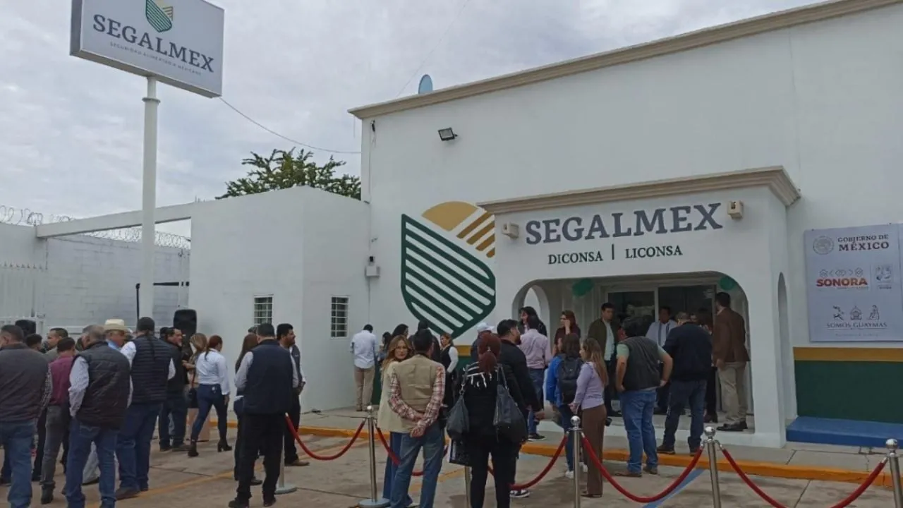 Exfuncionario ligado a desfalco de Segalmex pide amparo para salir de prisión