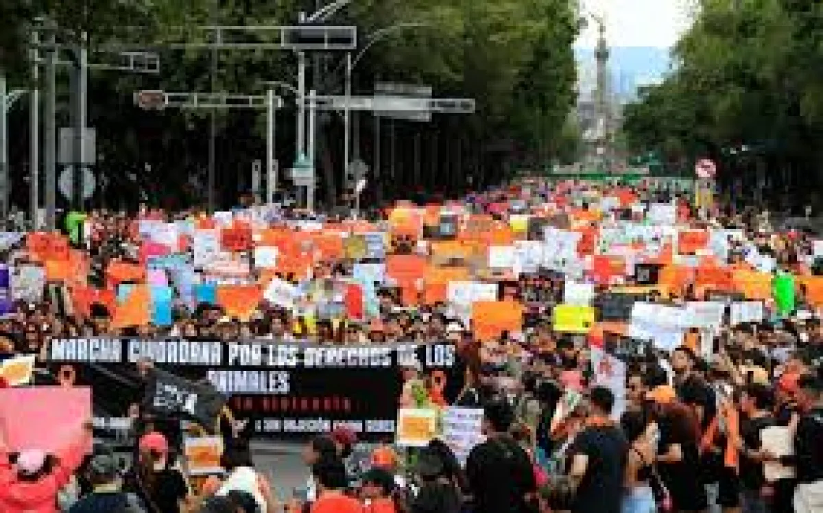 Bloqueos por marcha animalista en CDMX este 23 de septiembre: conoce los puntos afectados