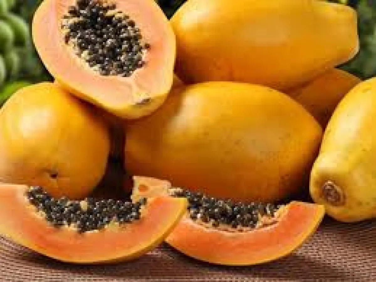 Semillas de papaya: ¿Cuántas se deben consumir para ayudar a regenerar el hígado?