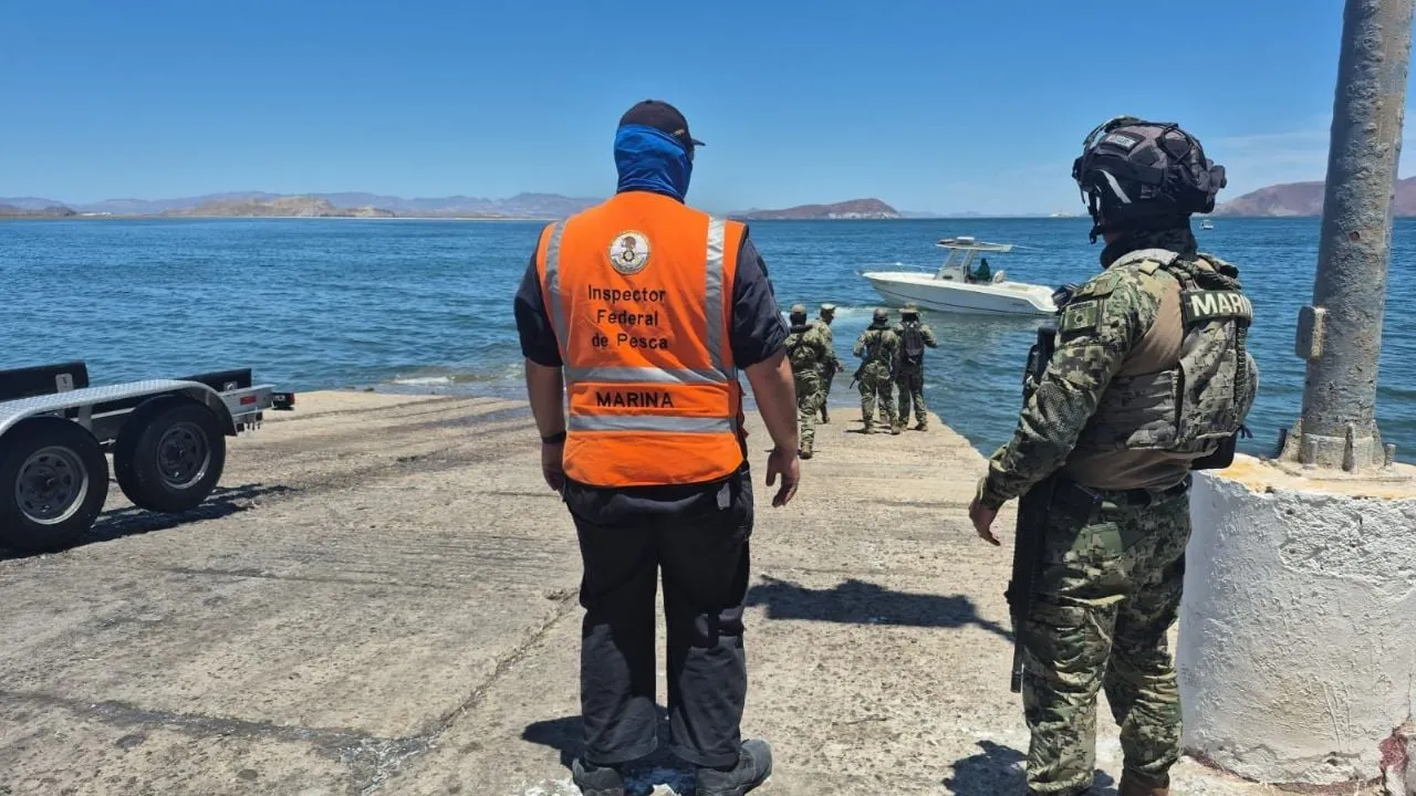 Rescatan a ballena jorobada que estaba enmallada en redes de pesca en Baja California (Video)